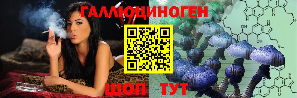 Чита  Псилоцибиновые грибы мицелий  Вход с VPN 